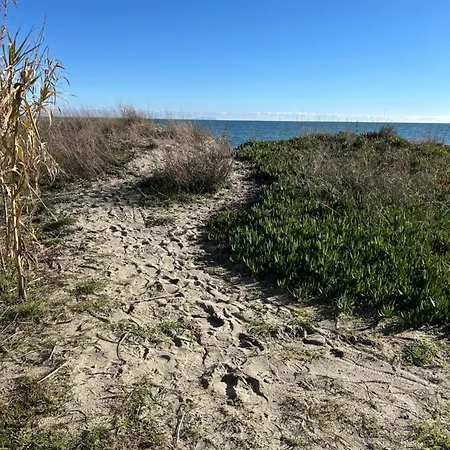 דירה Rez De Jardin Piscine Et *