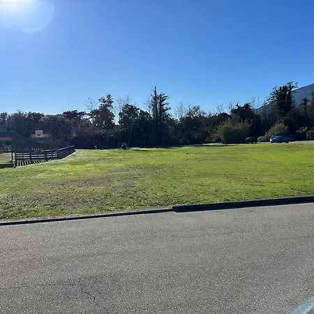 Rez De Jardin Piscine Et *