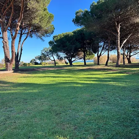Rez De Jardin Piscine Et