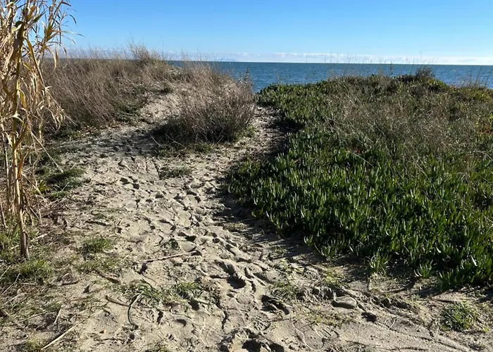 Appartamento Rez De Jardin Piscine Et *