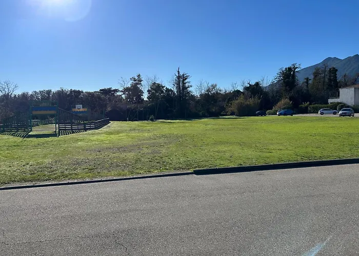 Rez De Jardin Piscine Et *