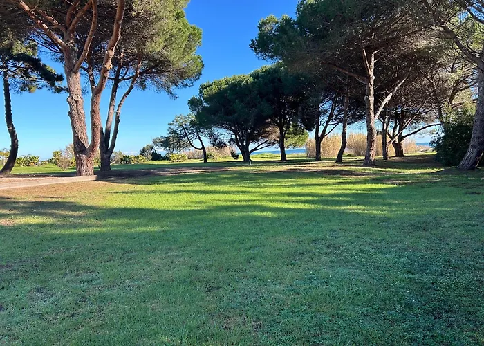 Rez De Jardin Piscine Et